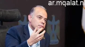 الصندوق السيادي يطلب عروض بنوك الاستثمار لطرح 20% من مصر لتأمينات الحياة